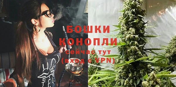 Альфа ПВП Осинники