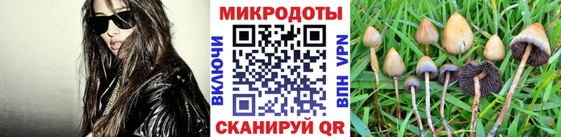 Галлюциногенные грибы Psilocybine cubensis Усть-Кут