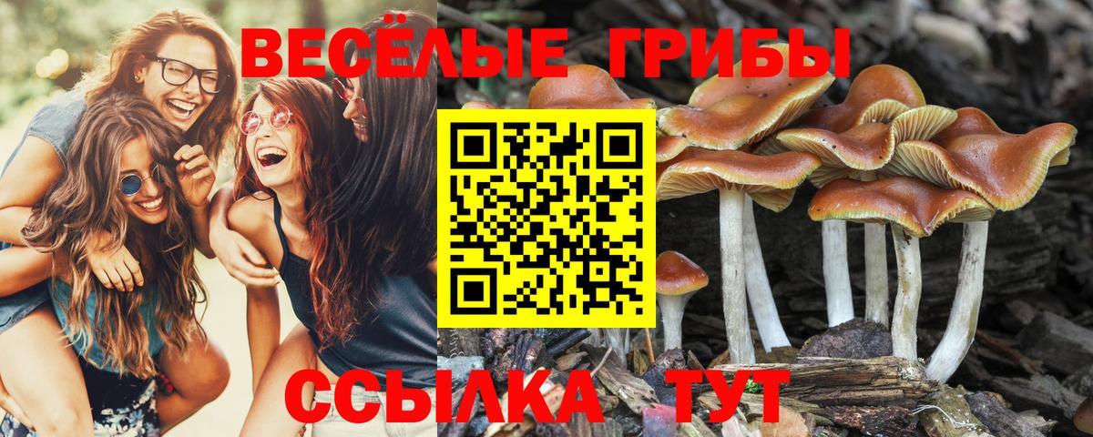 Галлюциногенные грибы Magic Shrooms Усть-Кут