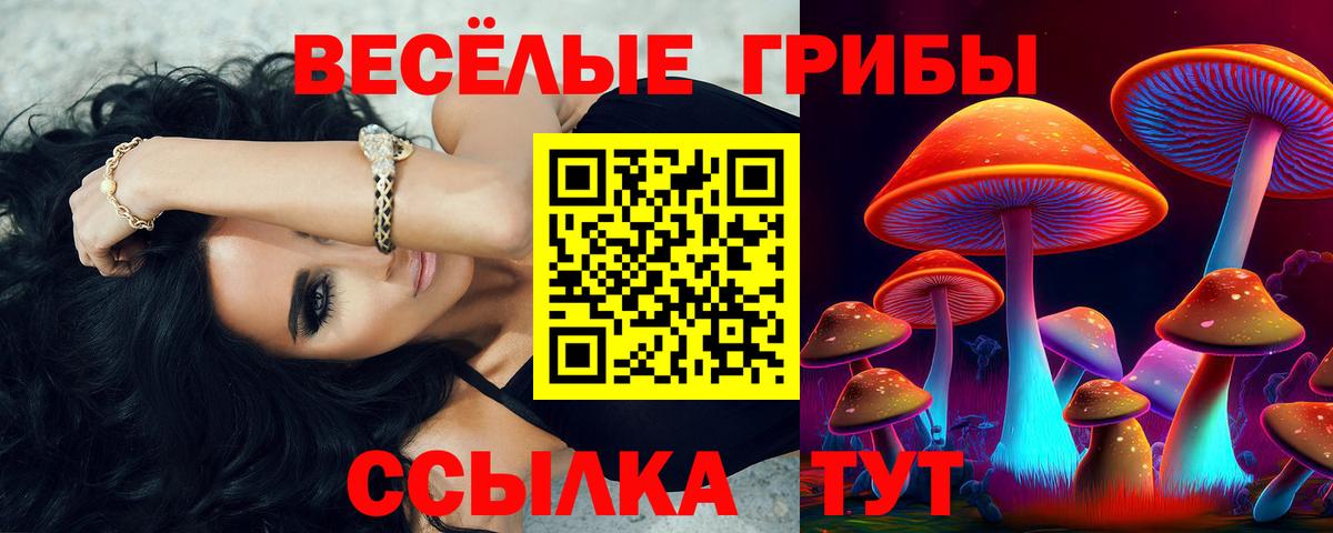 купить наркоту  Вход с VPN  Усть-Кут  Галлюциногенные грибы мухоморы 